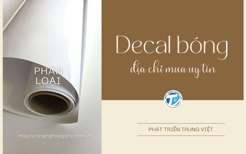 Phân loại decal bóng và địa chỉ mua uy tín - Phát Triển Trung Việt